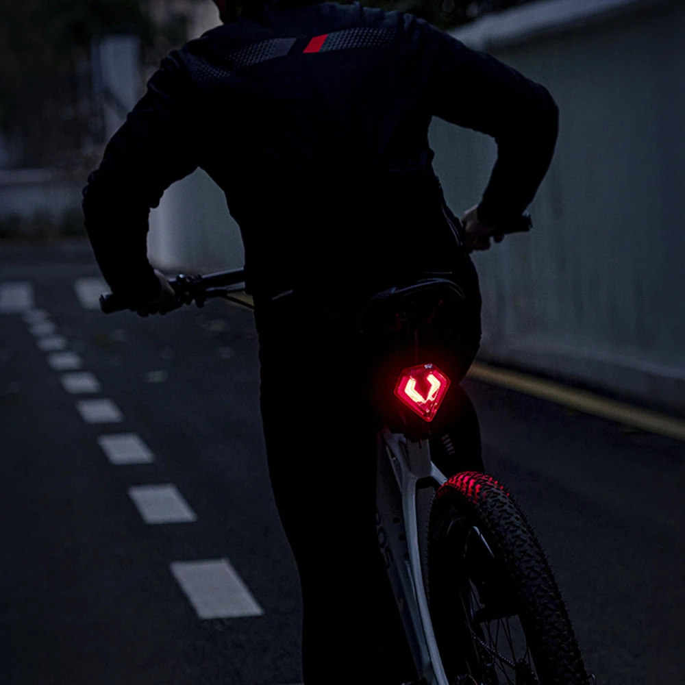

ROCKBROS Smart Bicycle Brake Light IPx6 Taillight Type-C Bike Tail Rear Light Auto Stop LED Riding Warning Safety Cycling Light