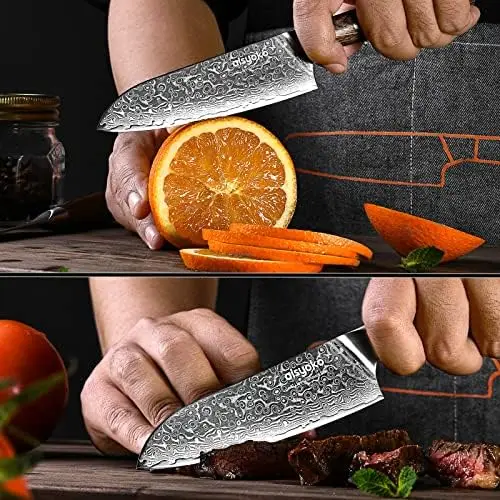 

Chef Knife 8 Inch Damascus Japan VG-10 Super Stainless Steel Professional High Carbon Super Sharp Kitchen Cooking Knife, Ergonom