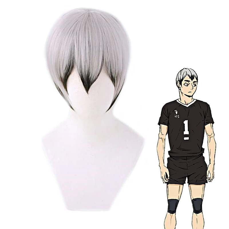 

Парик для косплея аниме Kita Shinsuke Haikyuu! 30 см Shinsuke Kita Короткие Черные Серые градиентные Стильные синтетические волосы парики + бесплатная сетка ...