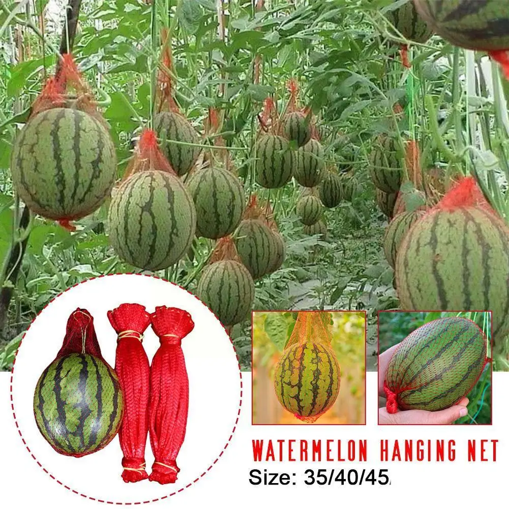 

10pcs Fruit Plastic Mesh Bag Watermelon Melon Grow Handle Hot Vegetable Greenhouse Nylon Drawstring Net Protection Bags Han B4O1