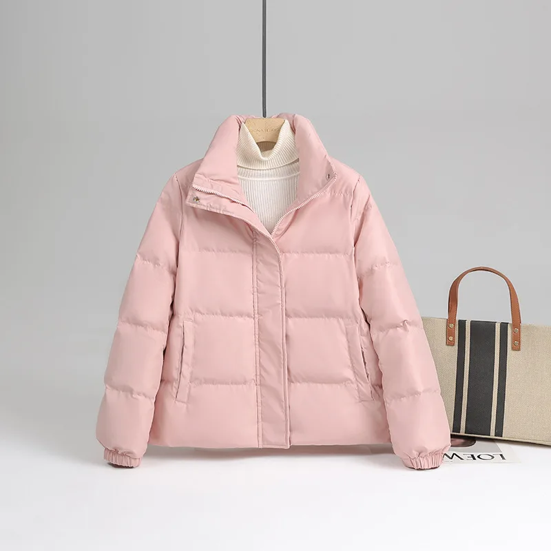 Standing Collar Short Jacket Woman Winter 2023 Oversize Thin Down Demi-season Parka New In Outerwear Spring Padded