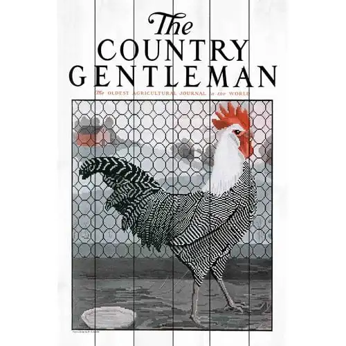 

Картина Rooster 2 "из белого дерева