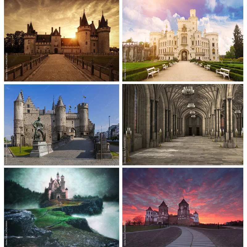 

Natural Scenery Photography Background Landscape Travel Castle Photo Backdrops Studio Props 211226 CB-02