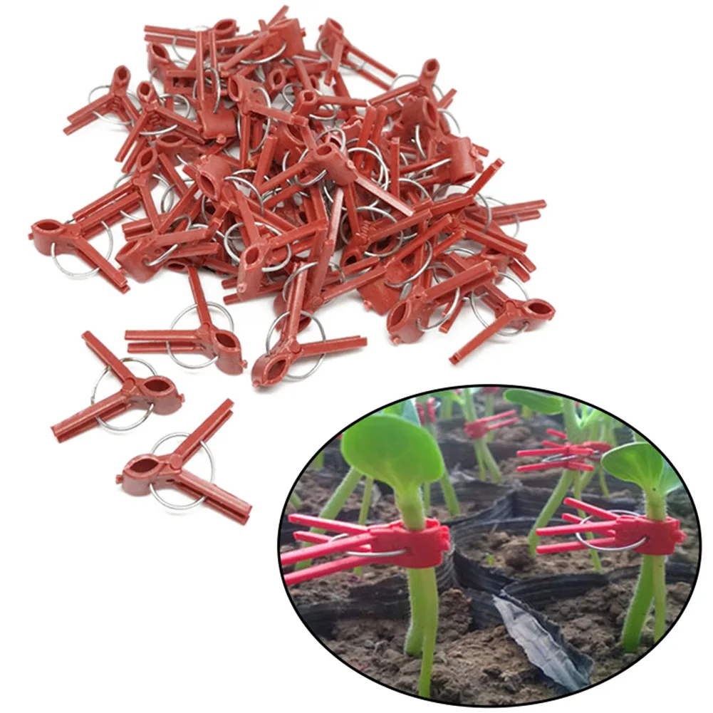 

50PCS Quality Plants Graft Clips Plastic Fixing Fastening Fixture Clamp Garden Tools For Cucumber Eggplant Watermelon