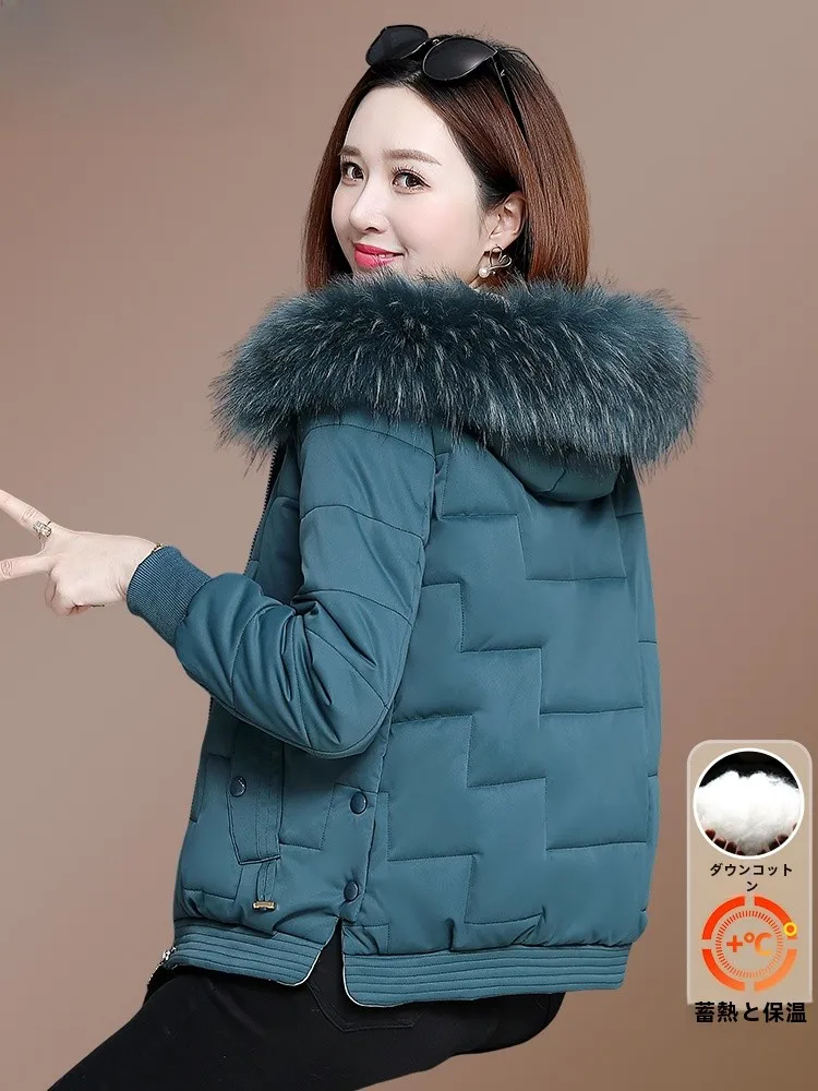 Пуховик Дятел одежда на хлопковой подкладке женская зима 2024 новинка утолщенная