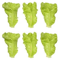 6pcs emulation lettuce leaves models simulation vegetable models photo props