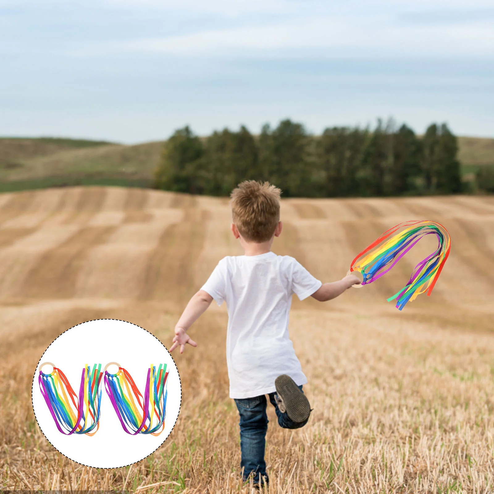 

2pcs Dancing Ribbons Children Sensory Hand Kite Ribbon Runners (Colorful)