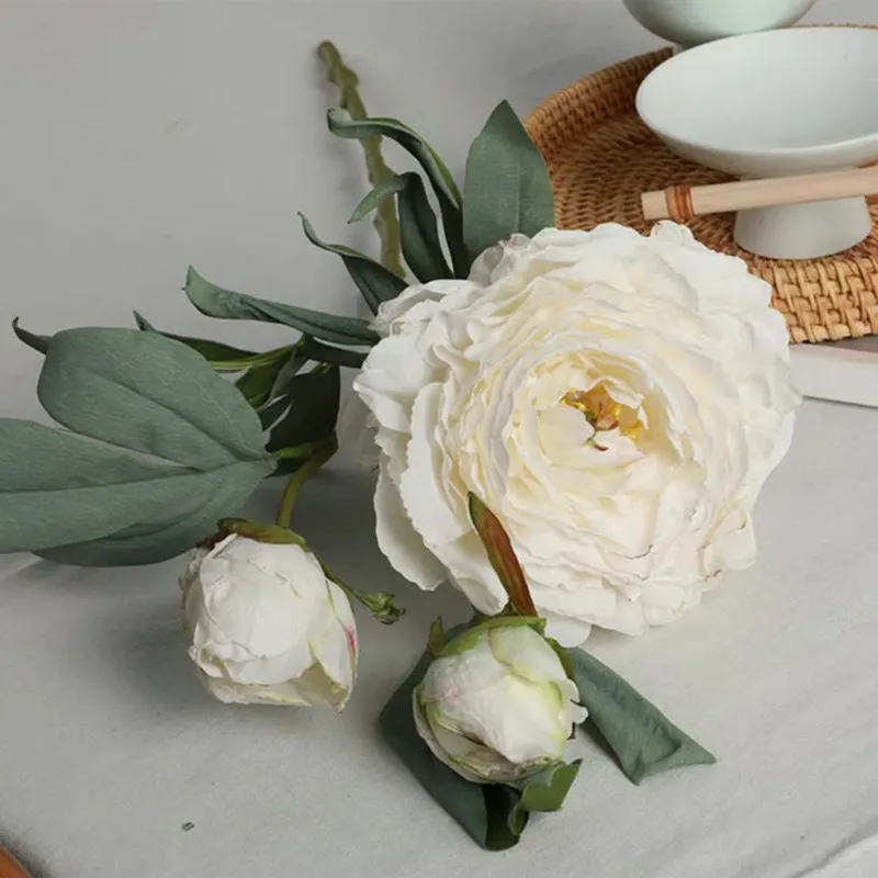 Трехсторонние французские пионы с сгоревшими краями натуральные