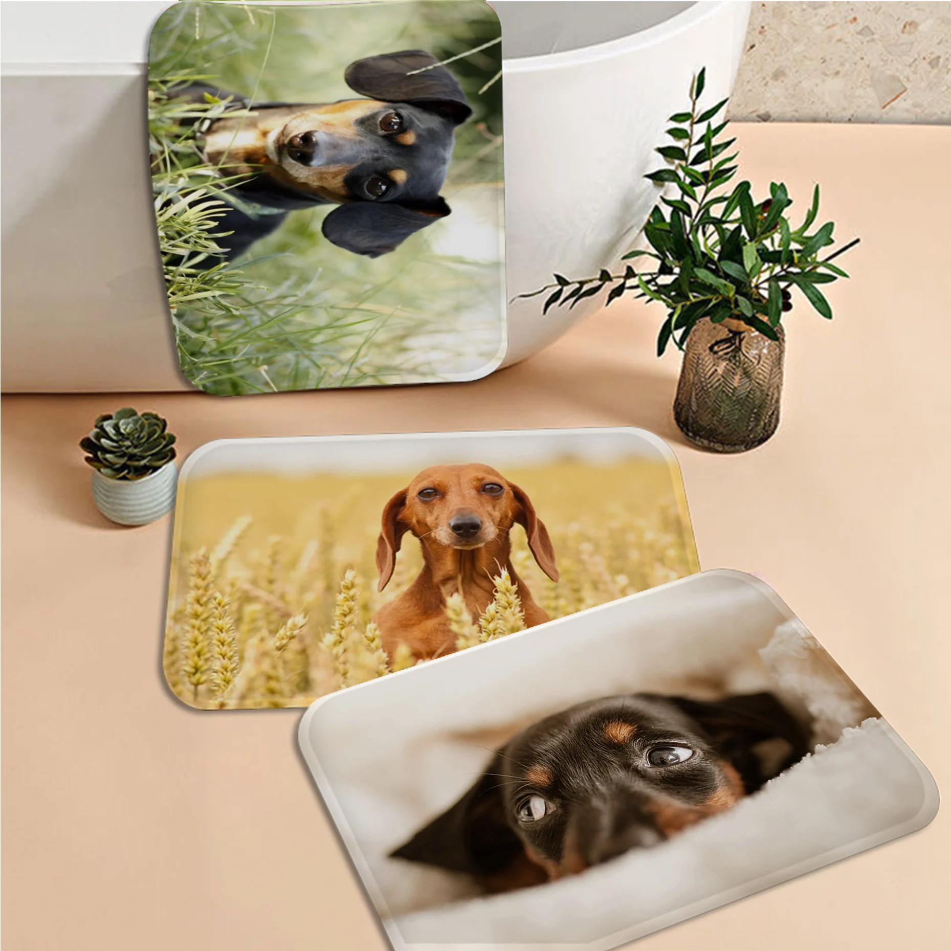 

Dachshund Dog Entrance Door Mat Retro Multiple Choice Living Room Kitchen Rug Non-Slip Alfombra