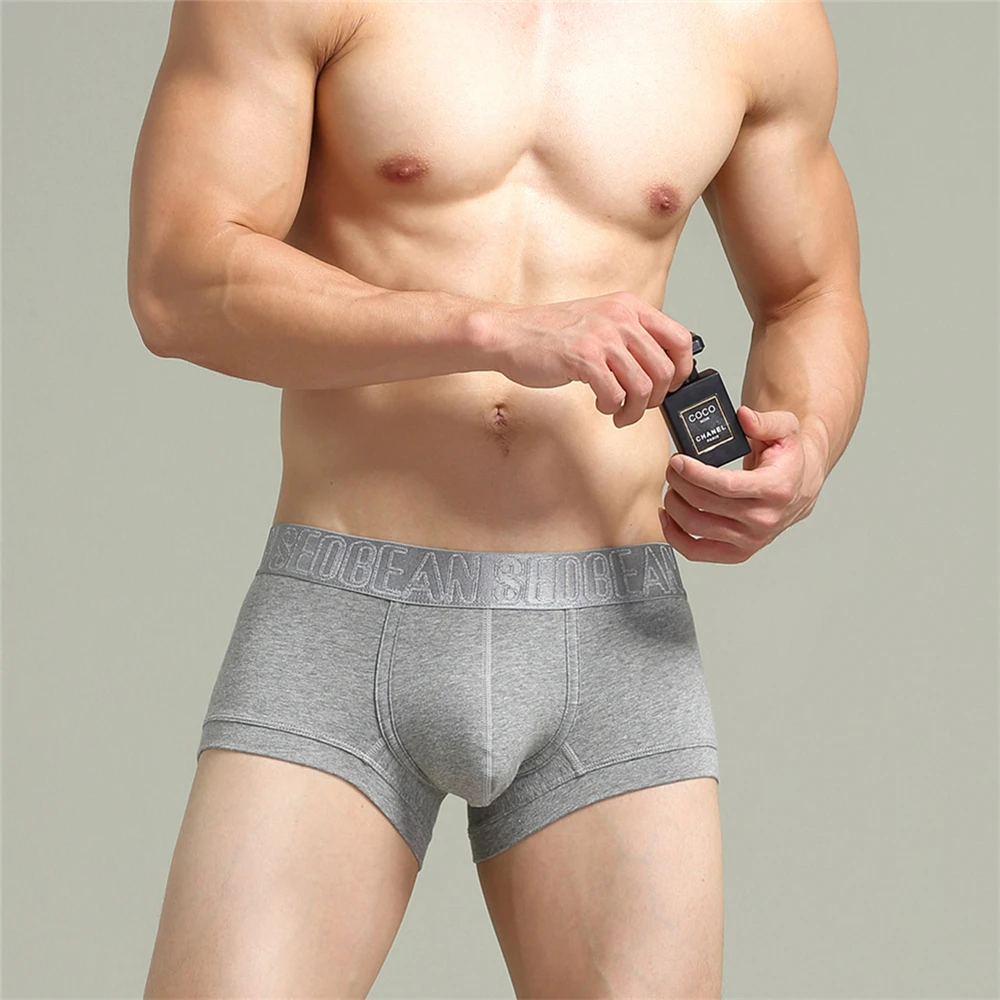 

Boxer Gay Sexy Shorts Underwear Male Homme Cotton Men's Underwear Panties Underpants Man for Family