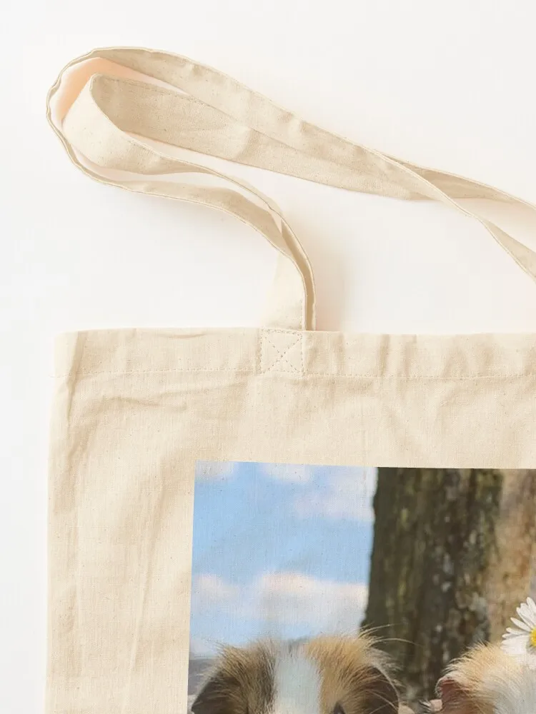 Морская свинка – синяя коллекция модель 01 большая сумка. Женская Эко-пак.