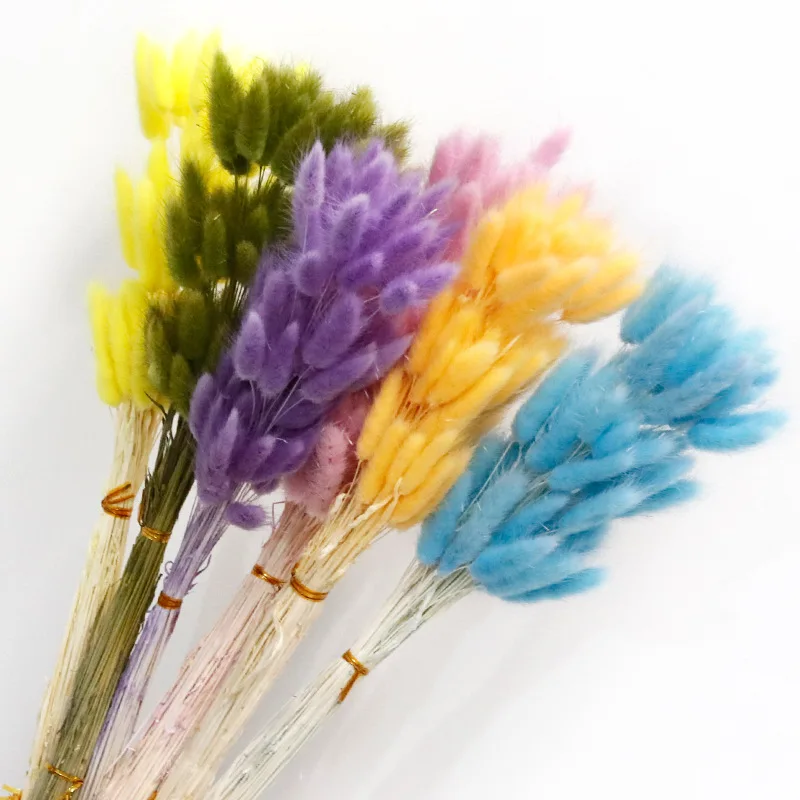 

Dried Flowers White Pampas Grass Black Rabbit Tail Grass Artificial Fleur Bouquet Boho Nordic Style Home Decor Party Decoration