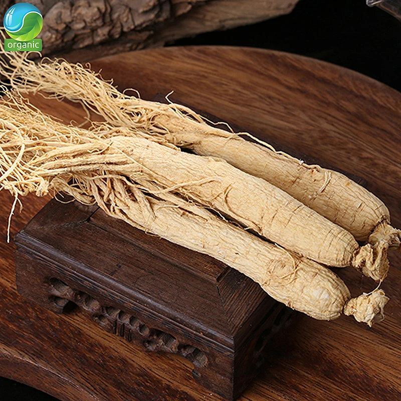 

White Ginseng Root Ginseng Panax 10 Years Roots RenShen White Ginseng