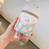brief eco friendly glass water bottles for girls free shipping a straw direct drinking double function students water bottle