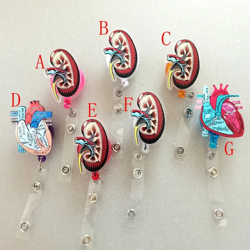 

2024 anatomical corazón anatomíco retractable badge reel nerka retractable badge reel pulmão id card holders kidney anatomy