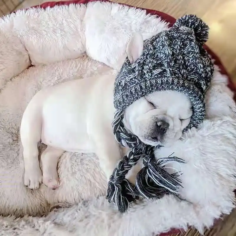 

Weiwang шляпа для животных Jarre Aero Bull Pug Big Dog Cat товары для домашних собак осенняя и зимняя шерстяная вязка Amazon Teddy