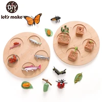 lets make simulation animals growth cycle model cock locust earthworm cognitive double sideds board kids puzzle toys baby gifts