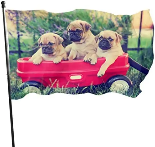 

Three Pug Chihuahua Mix Chug Puppies in A Red W Outdoor Flag Decorations Large Decorative Flags 3x5 Feet Vibrant Colors