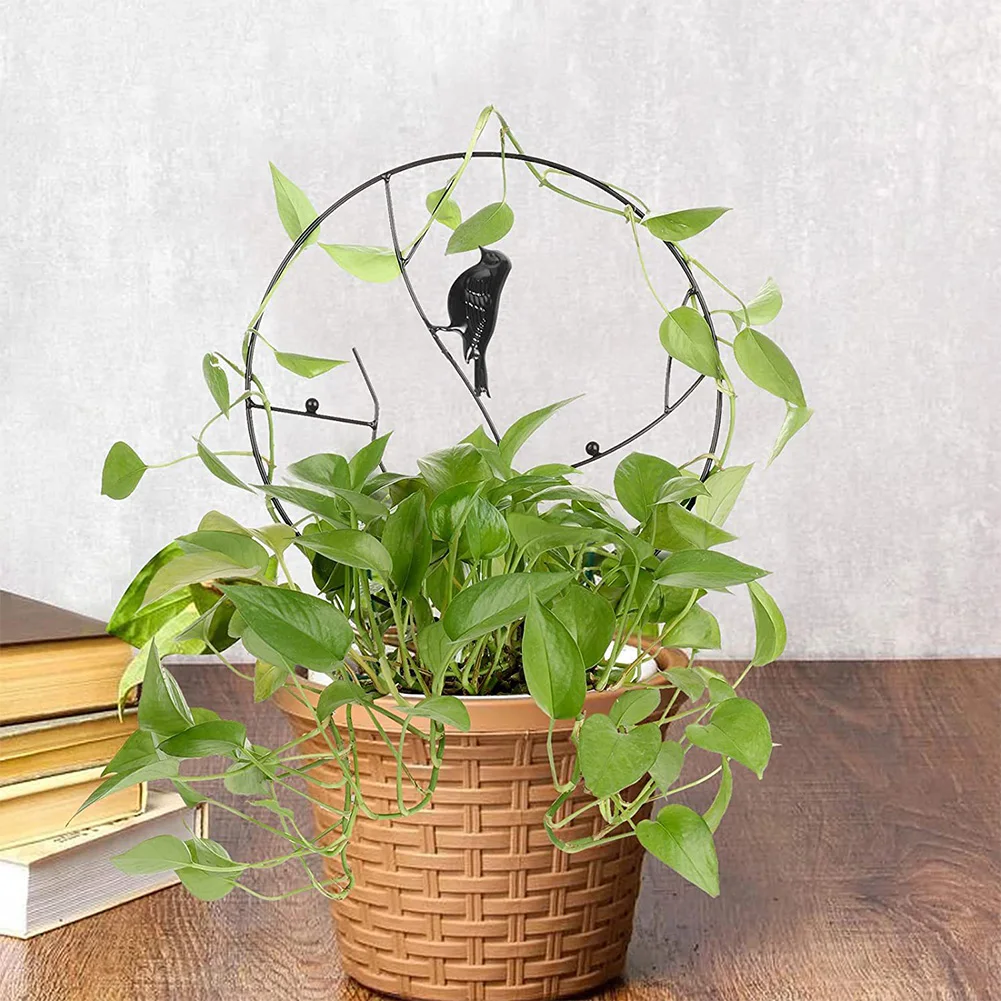 

Стойка для подъема растений, стойка для поддержки садовых растений, металлическая стойка для роста винограда, ротанга, товары для сада