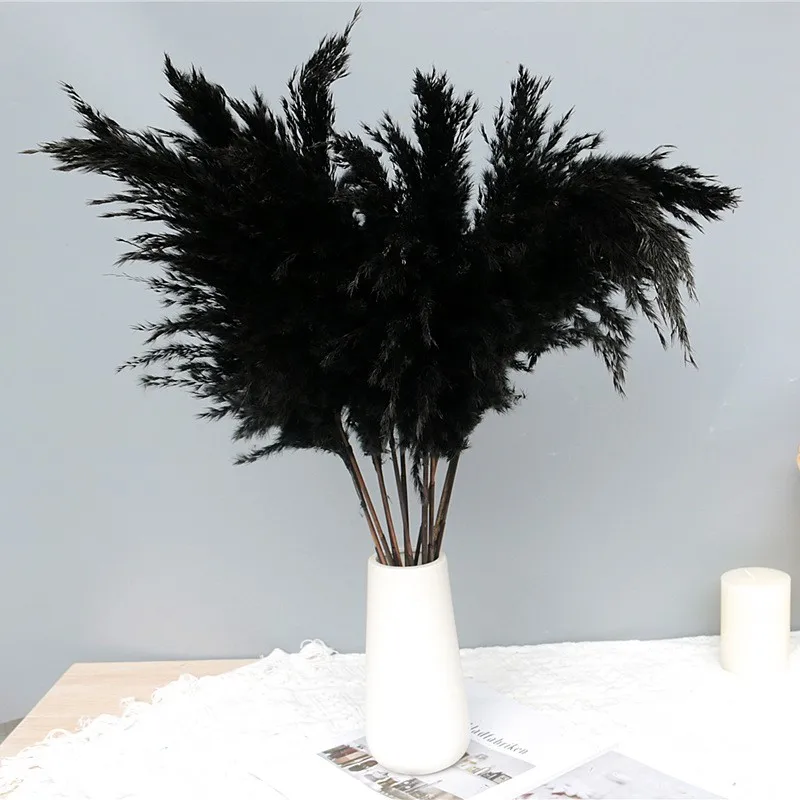 

5Pcs Reed Dried Flower Natural Black Pampas Grass Wedding Party Decoration Fluffy Phragmites Artifical Flowers Fall Home Decor