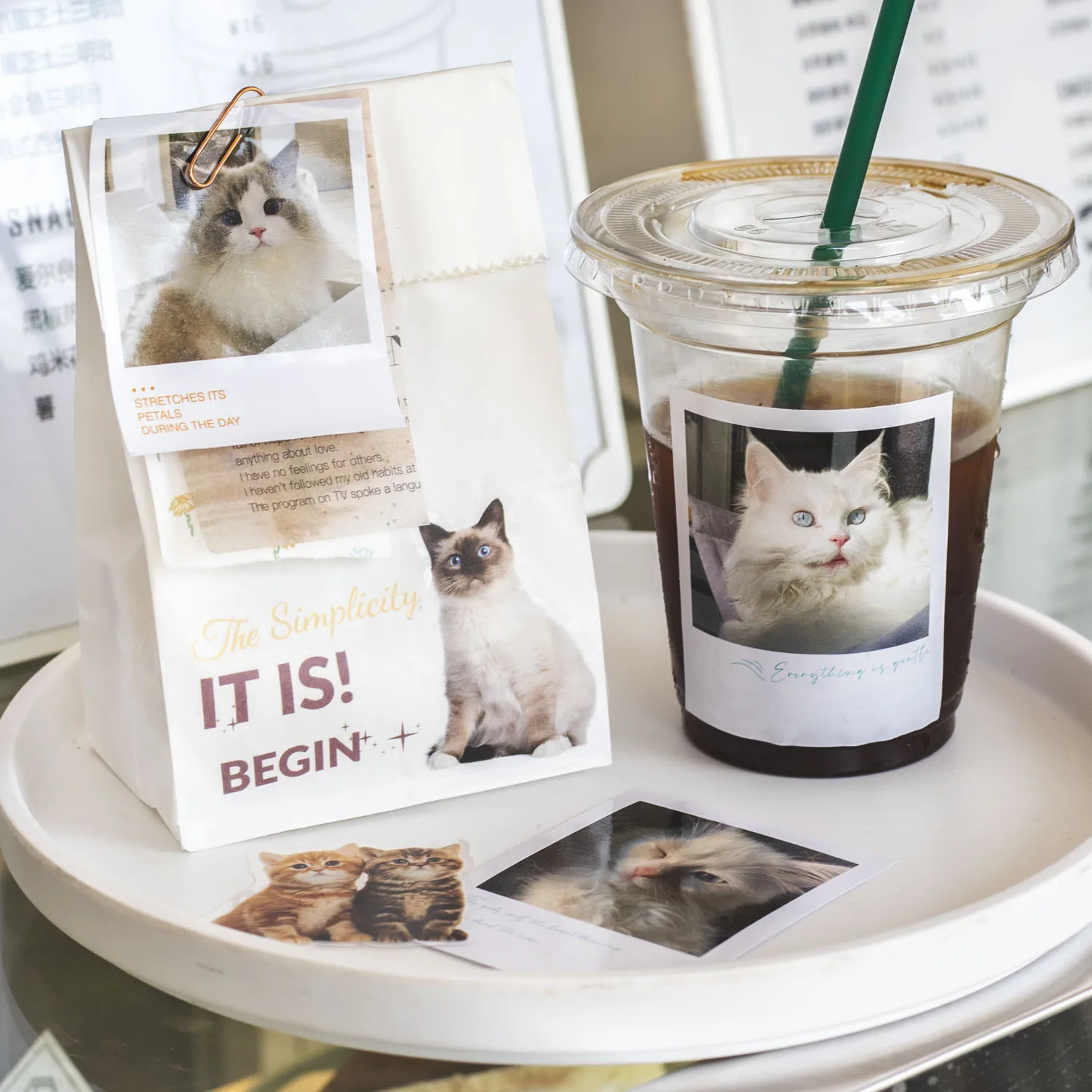 

Journaling 45pcs PET Coated paper sticker Cat random shot Journal scrapbooking Stickers junk Cute stickers Material paper