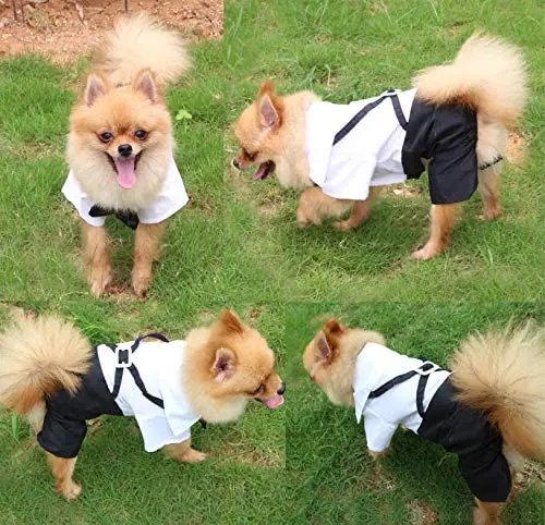 

Dog Shirt Puppy Clothes Stylish Suit Bow Tie Costume,Wedding Shirt Formal Tuxedo with Black Tie, Dog Prince Wedding Bow Tie Suit