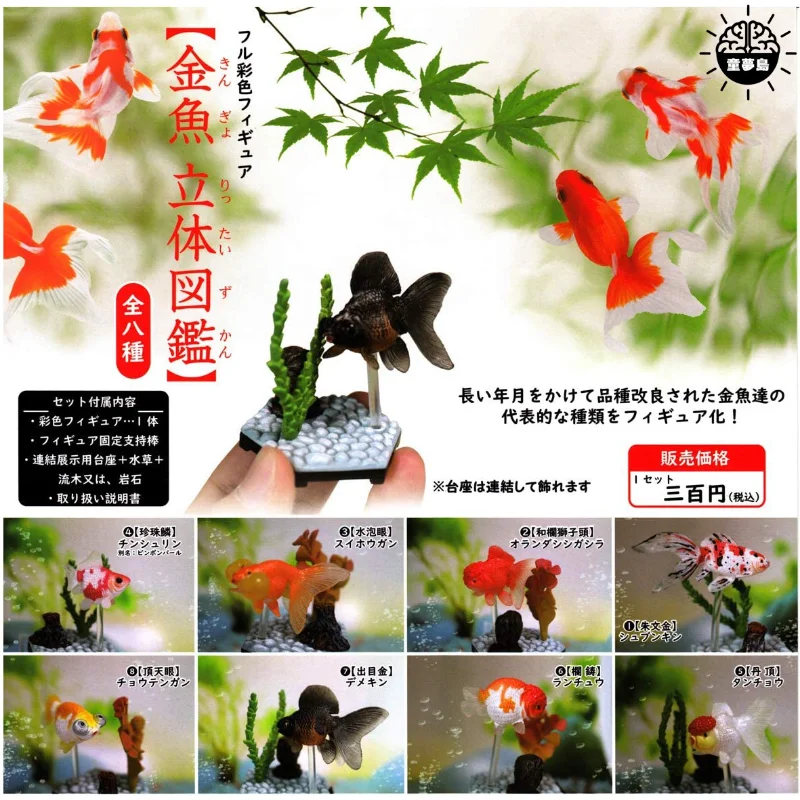 

Original Gashapon Anime Figure Cute Kawaii Goldfish Miniature Item Gacha Capsule Toys Gift