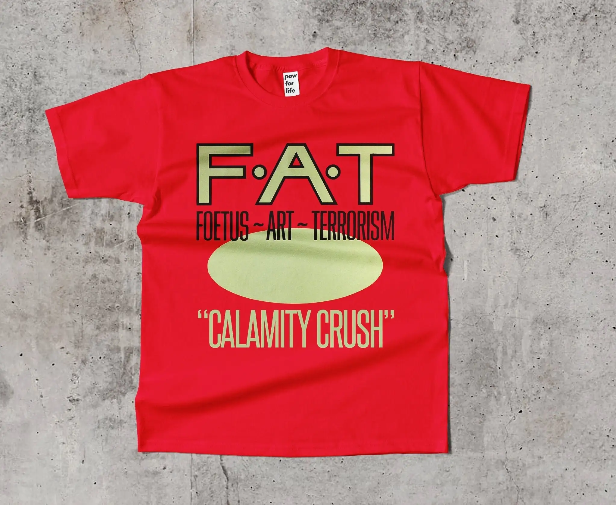 Футболка для плода