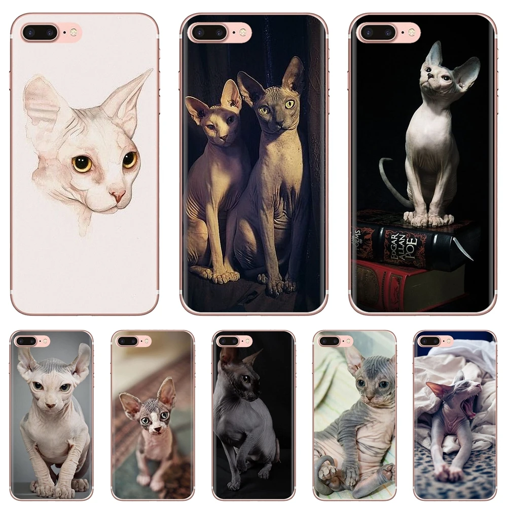 

For iPhone 10 11 12 13 Mini Pro 4S 5S SE 5C 6 6S 7 8 X XR XS Plus Max 2020 Friendliest sphynx cat kitty Poster Mobile Phone Case