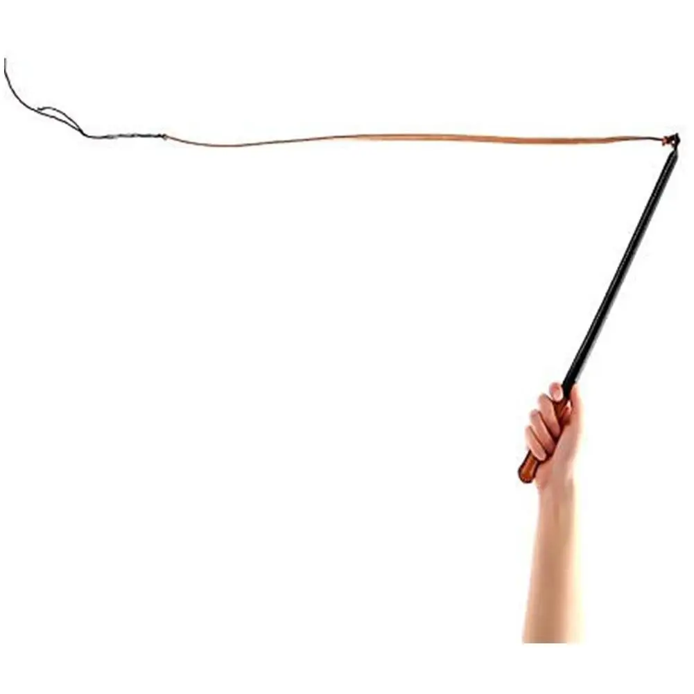 

Pet Dog Training Whip Tool Imitation Cowhide Sound Whip for Horse Herding Dog