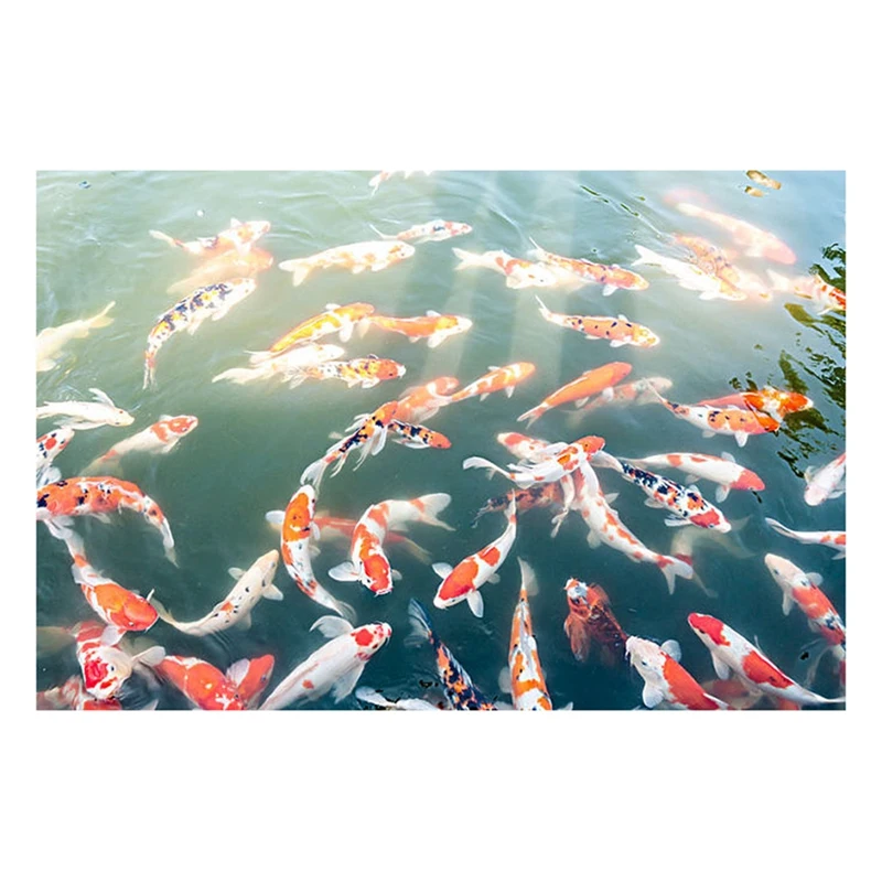 

Алмазная живопись «сделай сам», полностью Алмазная круглая вышивка крестиком группы кои, украшение для стен дома