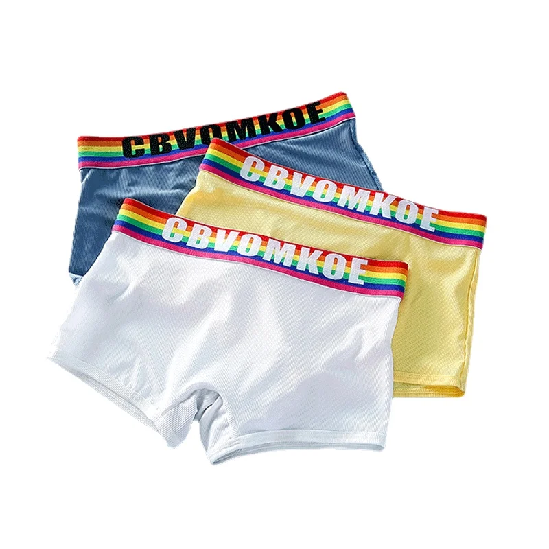 

HaleyChan Summer Womens Ice Silk Underwear Graphene Antibacterial Crotch 1Pc Boxer Briefs for Women Tomboy Trans Lesbian Panties