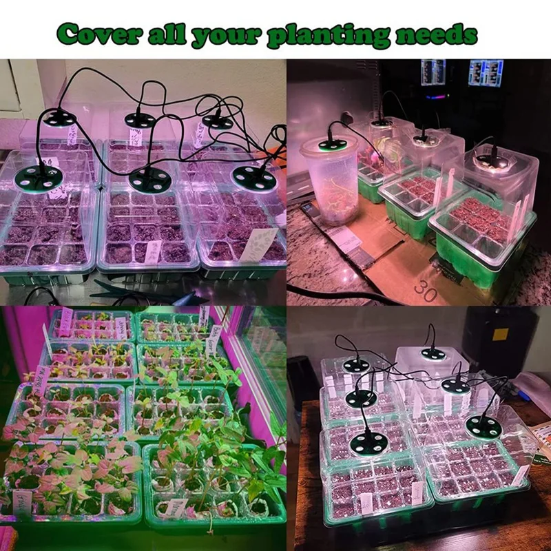 Стартовый поднос для семян с цветовой фотографией стартовый набор 5 детской