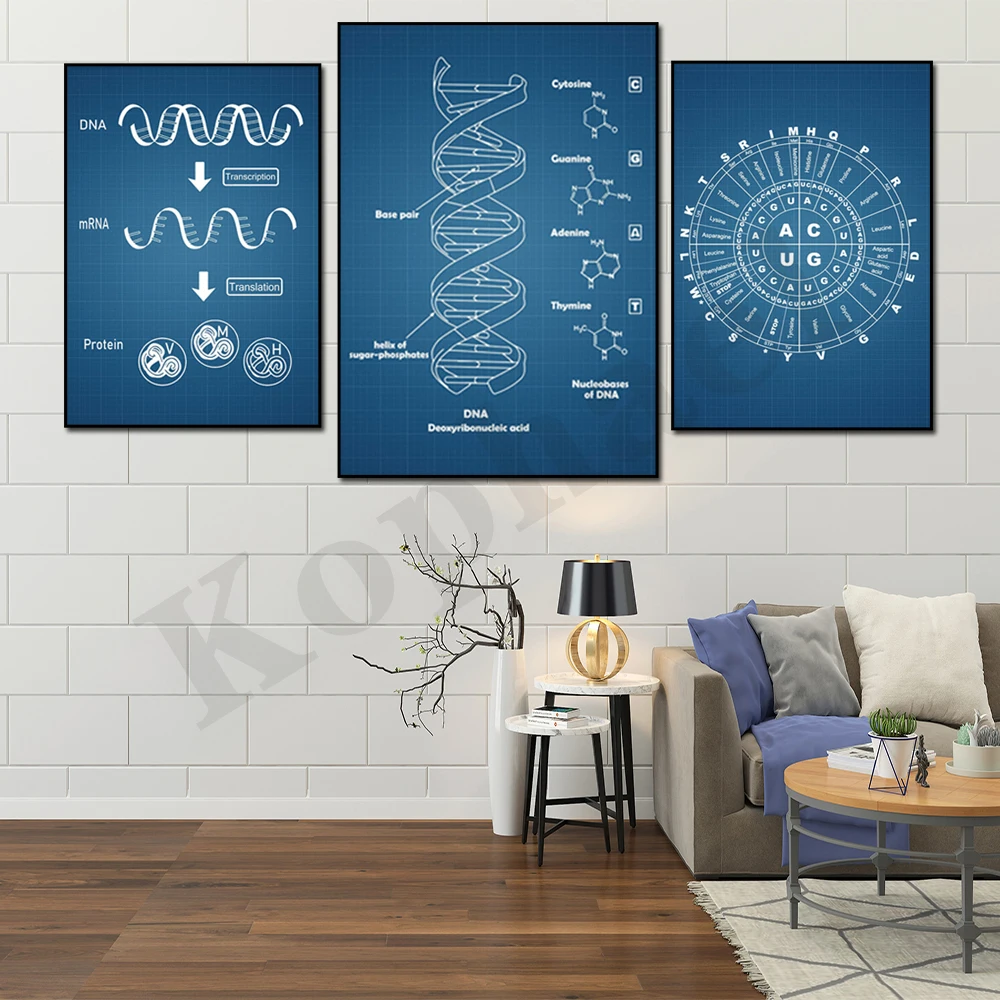 Абстрактная схема научный DNA генный код офис био-Арт плакат |