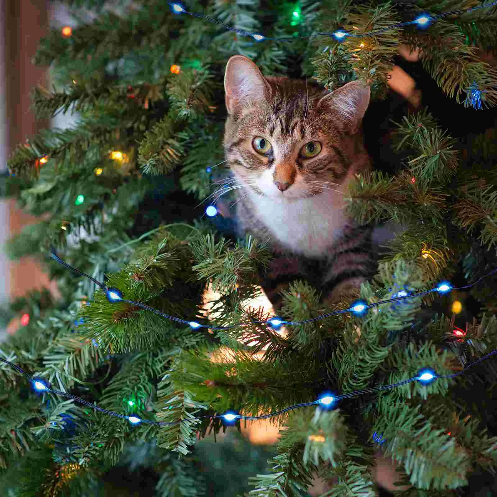 Рисунок 5 - Декоративные светильники для рождественской елки