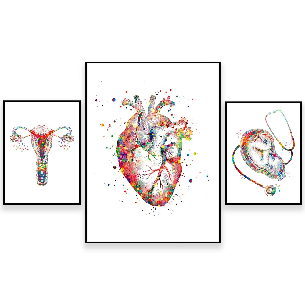 Женская анатомия ребенок в матке стетоскоп фотография матки медицинское