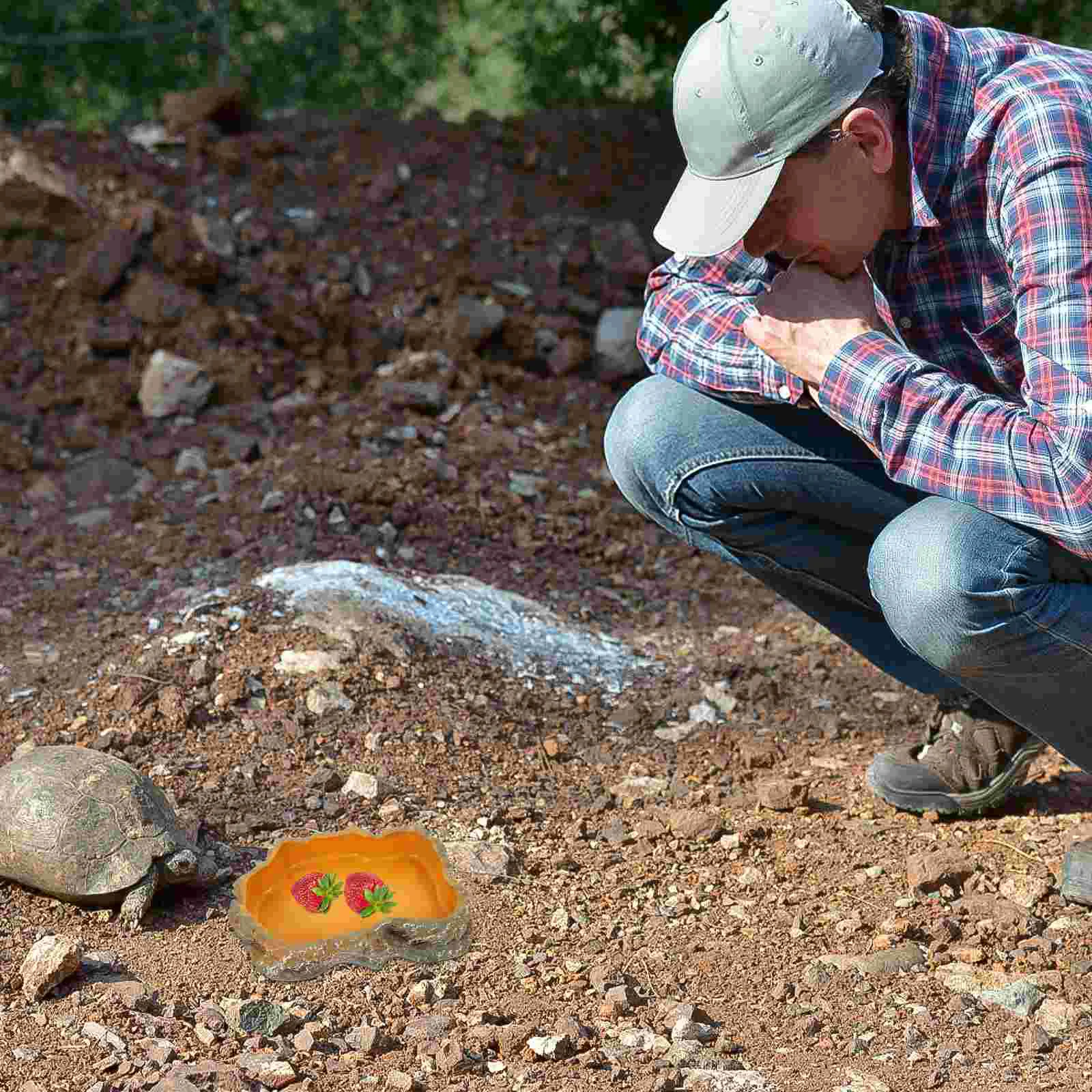 Альпинистская миска для корма домашних животных хамелеон вода змея блюдо
