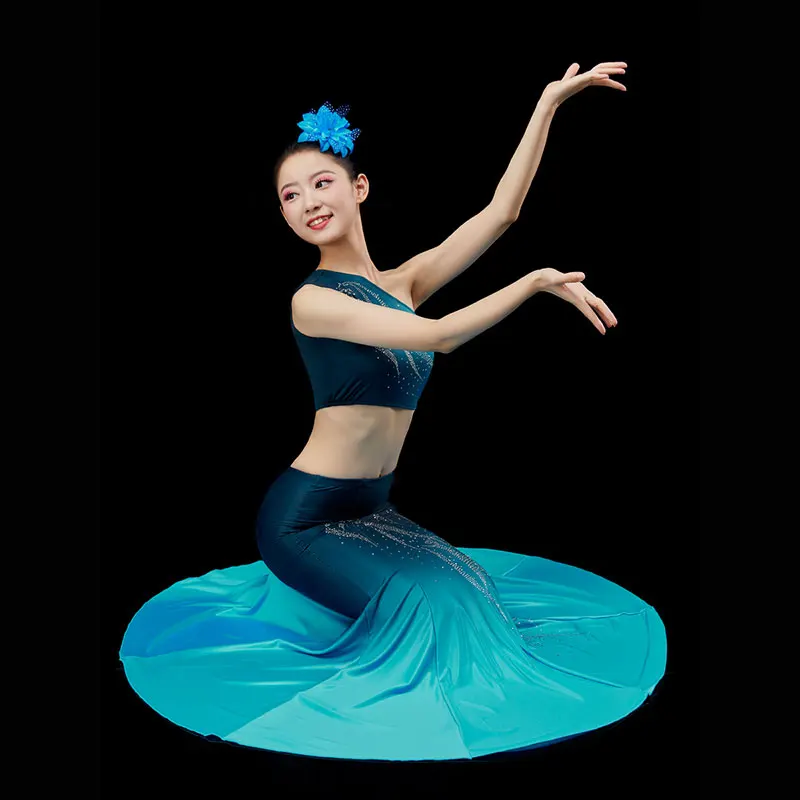 Chinese Ethnic Minority Dai Dance Dress Women Practice Performance Dress Female Dance Dress Peacock Dance Fishtail Dress
