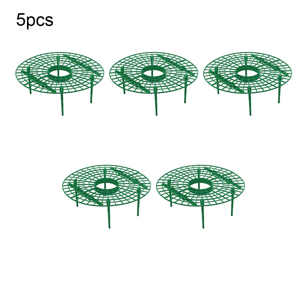 

Strawberry Plant Stand Vine Vegetable Climbing Rack Growing Frame