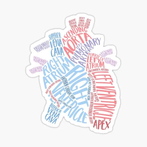 

Pastel Heart Gross Anatomy Typography 5PCS Stickers for Window Car Water Bottles Decor Luggage Home Stickers Laptop Wall Anime