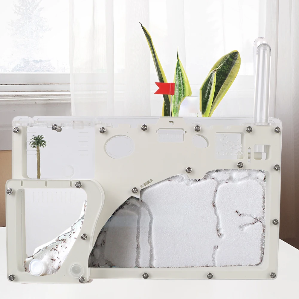 

DIY Ant Farm Acrylic Ant Nest Insect Ant House Villa Anthill Pet Workshop Mania for House Ant Hotel Underground Science Set