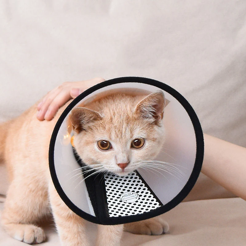 

Освежающий белый круглый чехол для головы собаки щенка кота, мягкий чехол для шеи, стерилизующий ошейник Lilissa, товары для ошейника