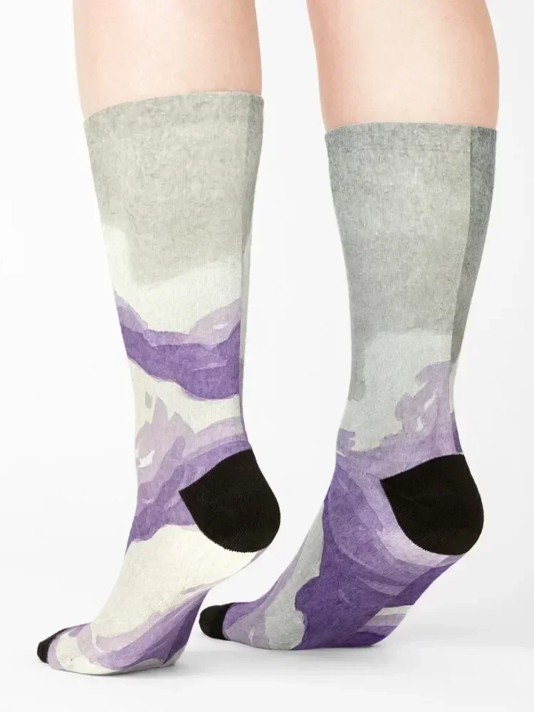 Носки Ace Pride Sky роскошные нескользящие носки женские и мужские