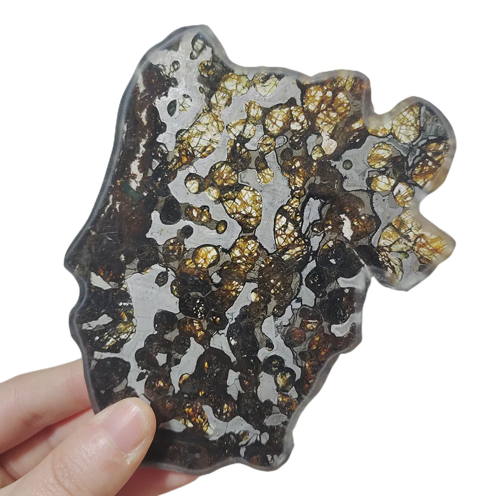 Высококачественный образец Brenham Olivine Meteorite ломтик оливкового метеорита и