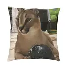 Большие наволочки Floppa Meme для дивана, гостиной, Забавный квадратный чехол с котом из каракаля для диванных подушек, 40x40, украшение для дома и салона