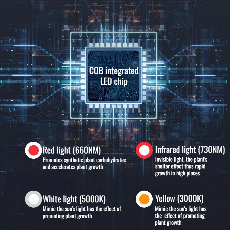 Фотофон с зелеными растениями цветочным магазином и планшетом