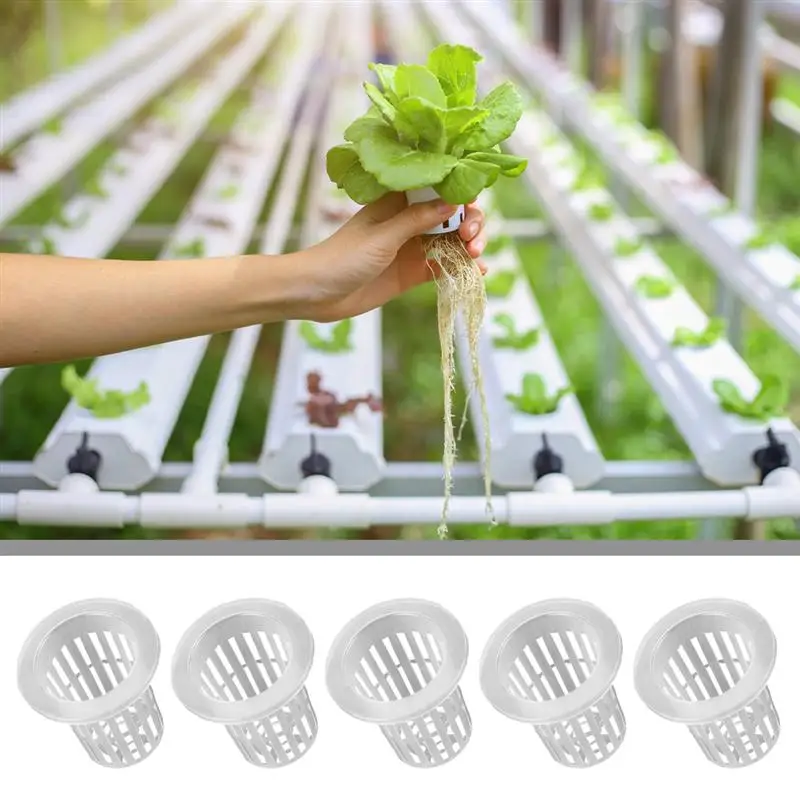 

50Pcs Plastic Net Cups Slotted Mesh Wide Lip Net Cups Pots Hydroponic Net Pots