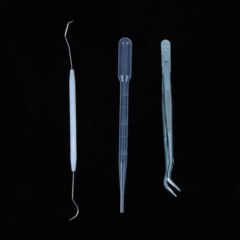 3 шт./набор набор инструментов для муравьиной фермы