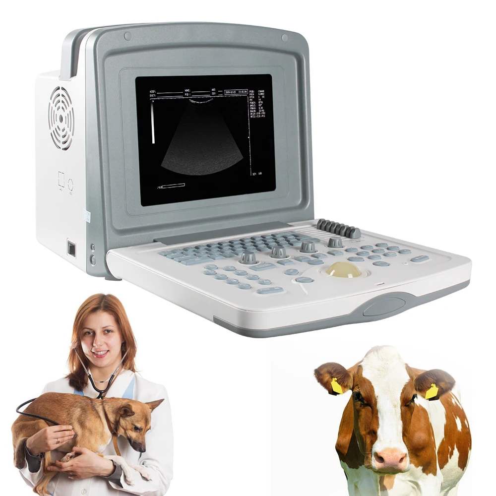 

SINOHERO Handheld Goat Vascular Veterinary Use Color Doppler VET 9.7 Inch Led Vet Digital Ultrasound Scanner