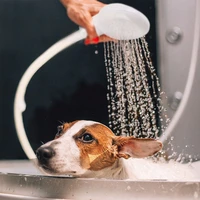 simple quick connect faucet shower sprinkler drain filter hose sink wash head shower extender bathroom supplies for children pet